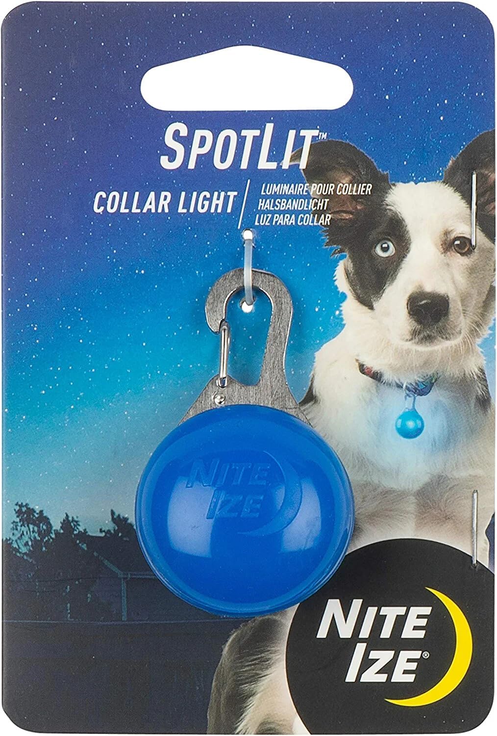 Dog Accessory Collar Spotlite Blue