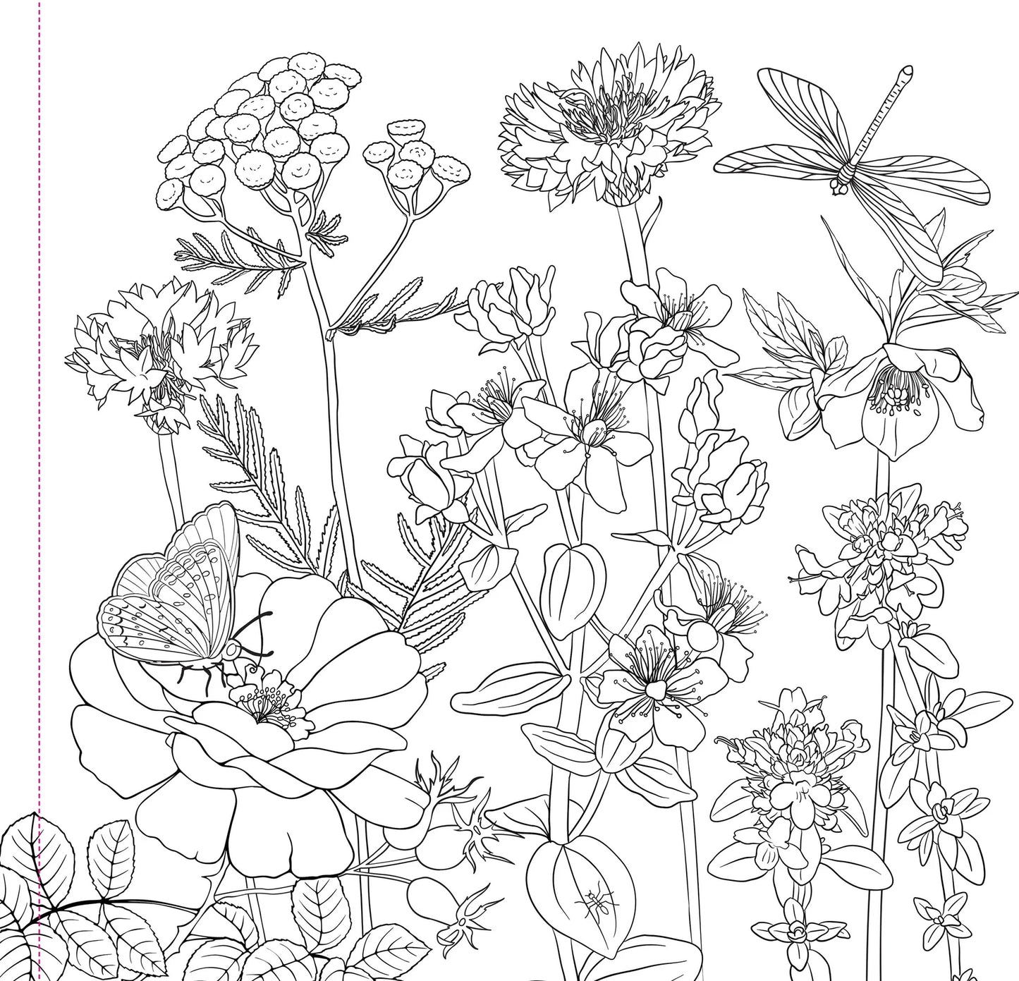 Artist's Adult Coloring Book Wildflowers