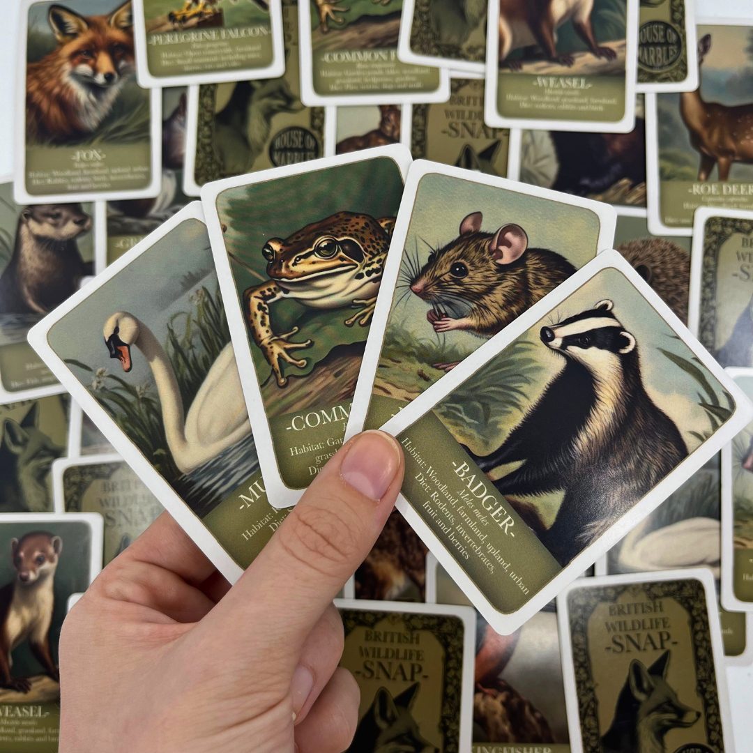 Card Game Wildlife Pairs