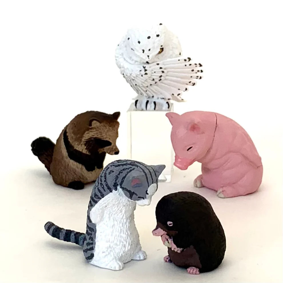Gashapon Capsule Teen & Up Bowing Animals (Sold As An Individual Capsule)