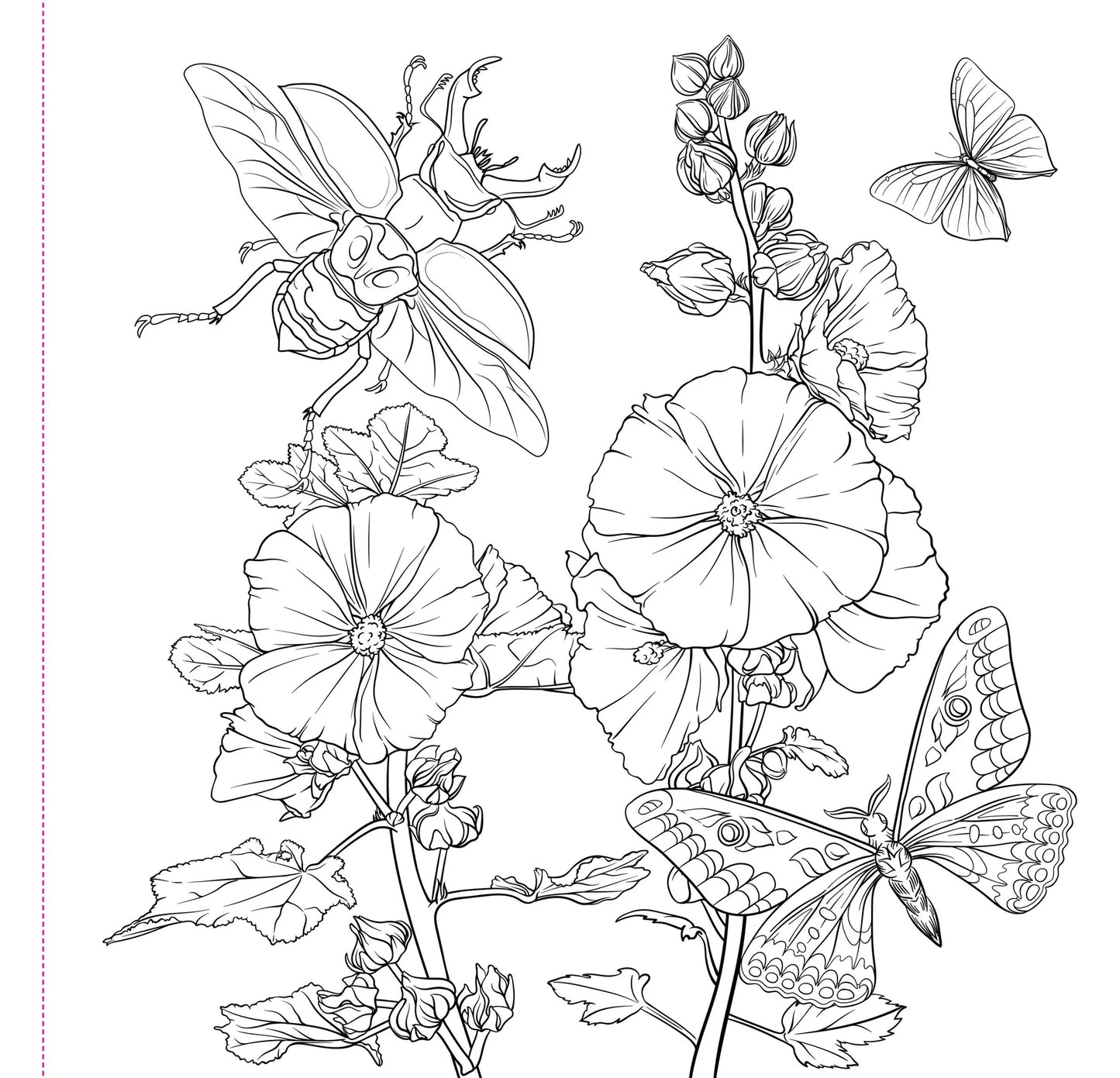 Artist's Adult Coloring Book Goth Garden