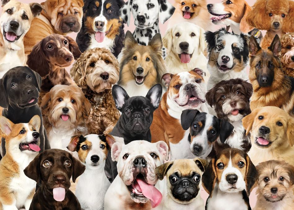 Puzzle 500 Piece All the Dogs