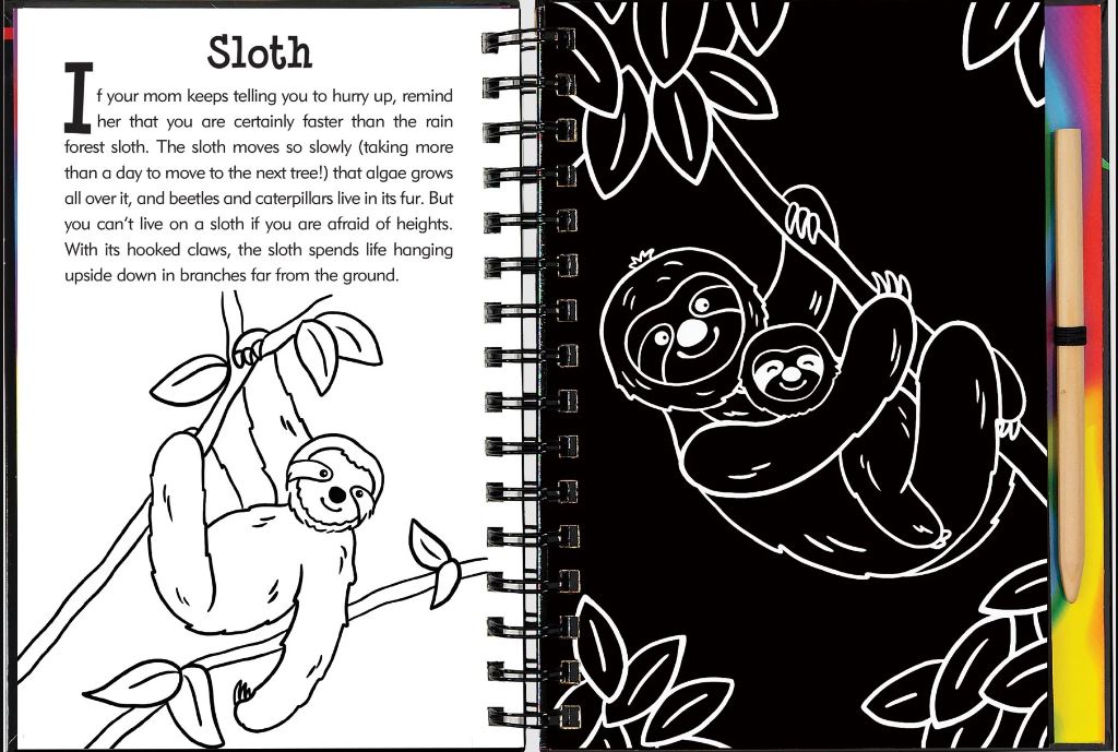 Scratch And Sketch Trace Along Activity Book Rainforest