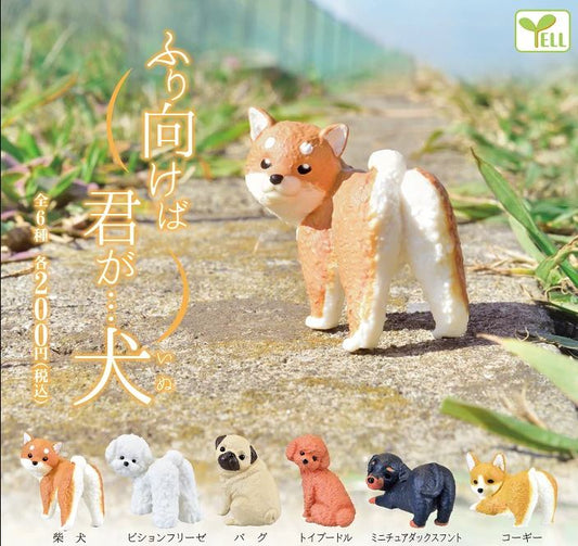 Gashapon Capsule For All Ages Turning Dog (Sold As An Individual Capsule)