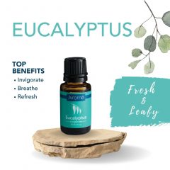 Essential Oil - 15mL - Eucalyptus