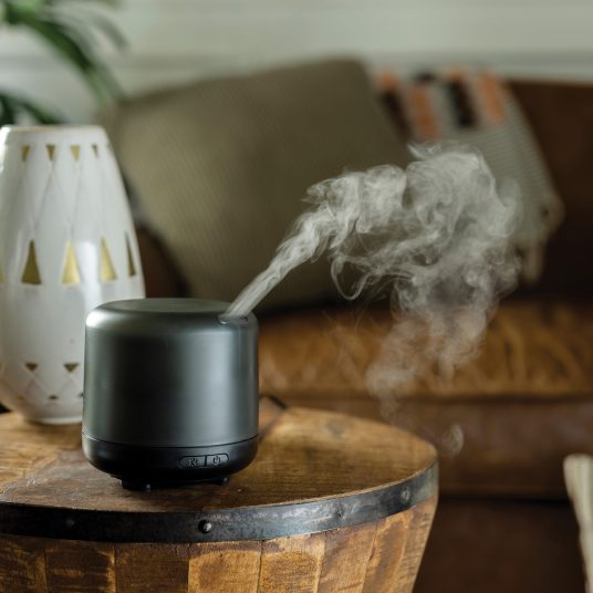 Essential Oil Diffuser - Directional Mist - Black – Homeport