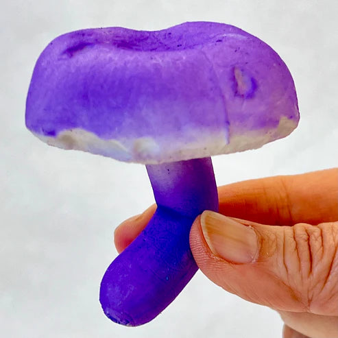 Gashapon Capsule For All Ages Mushrooms (Sold As An Individual Capsule)
