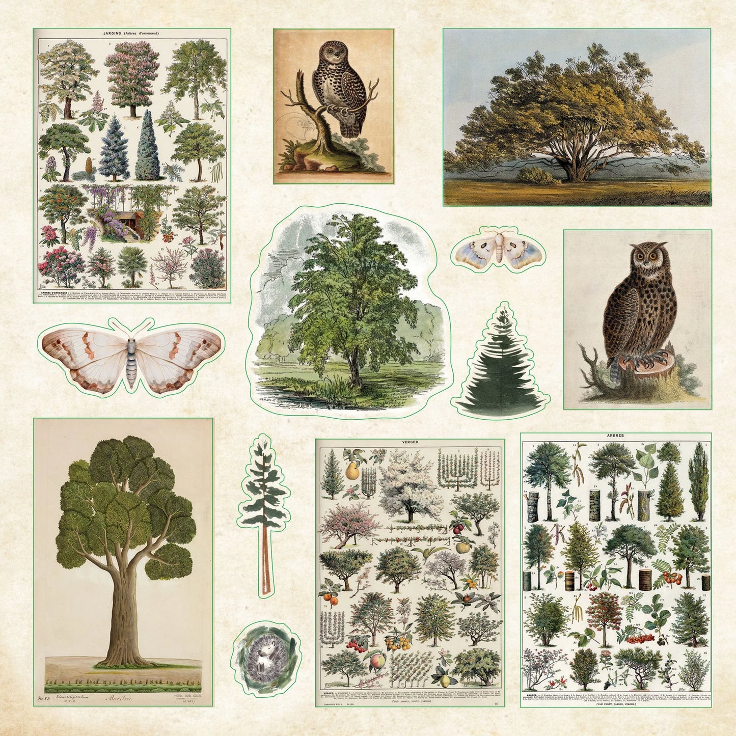 Sticker Book Enchanted Forest
