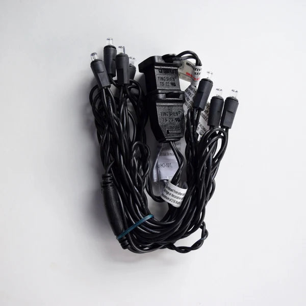 String Lights Cord 10 Mini LED Bulbs Black Wire