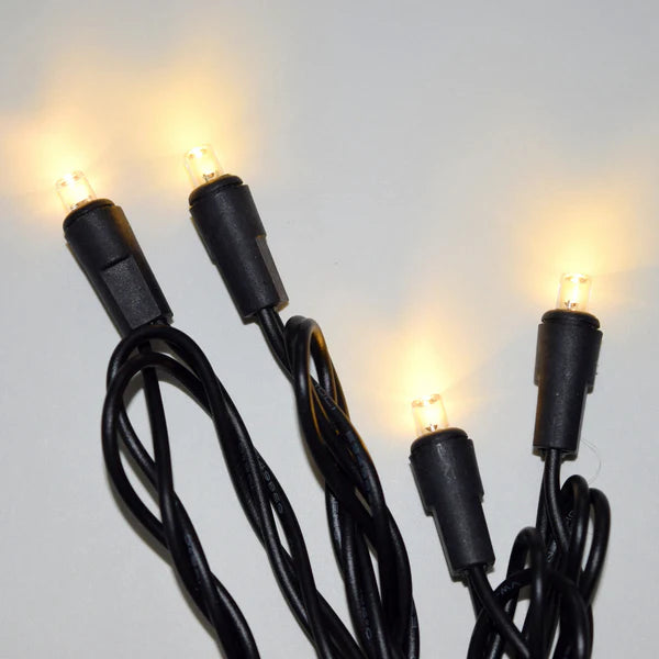String Lights Cord 10 Mini LED Bulbs Black Wire