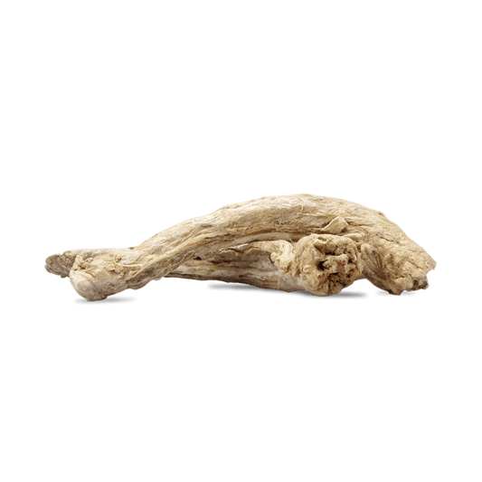 Dog Treat Turkey Neck Vital Essentials Raw Freeze Dried