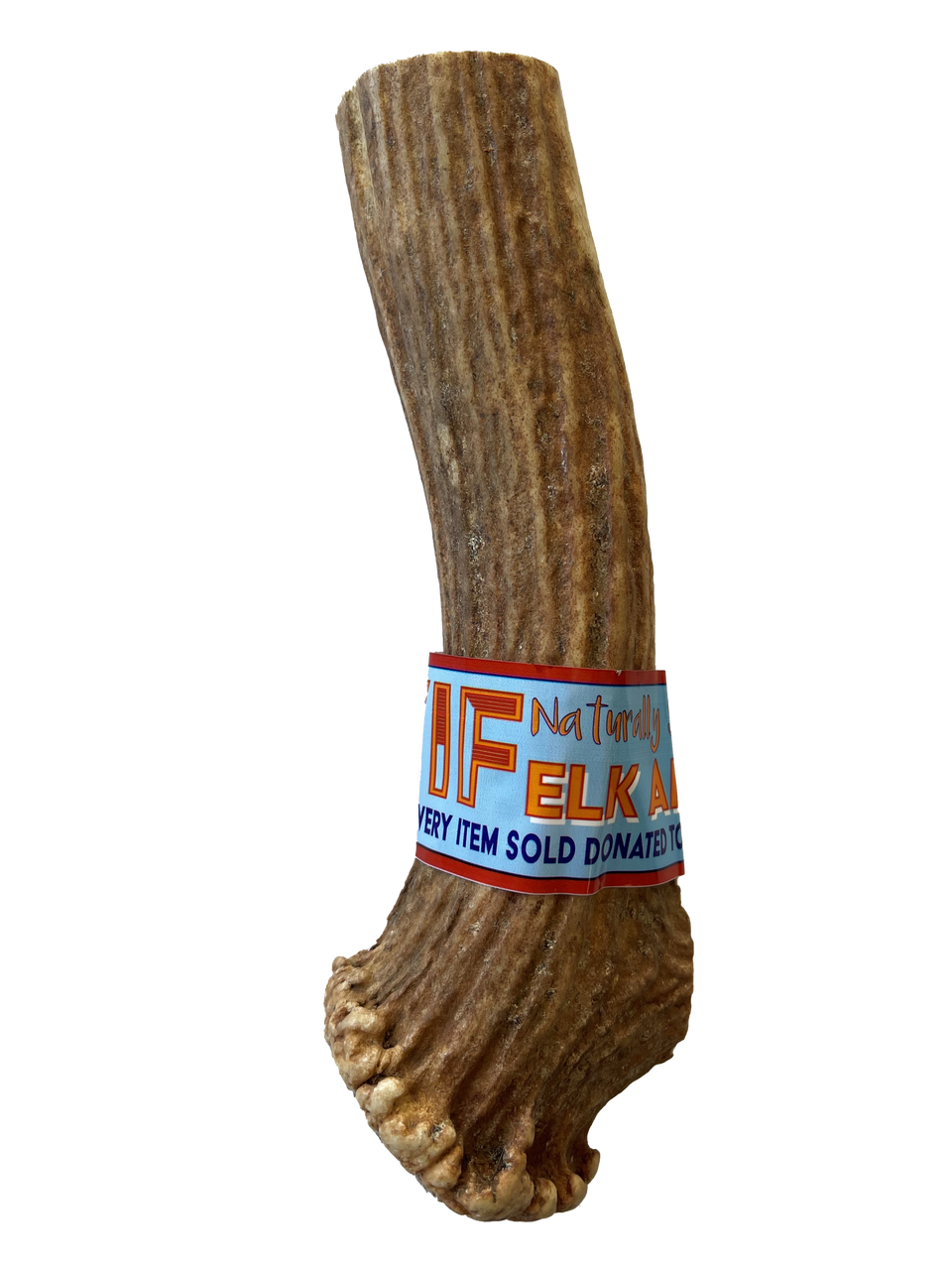 WIF Natural Drop Split Elk Antler Medium