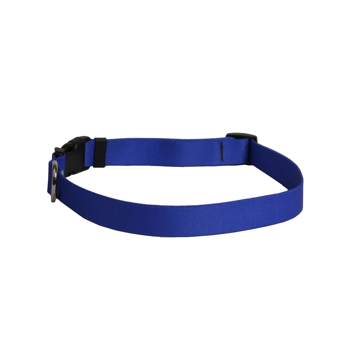 Dog Collar 1in wide Large 18inch-28inch Royal Blue