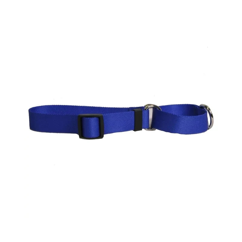 Dog Collar 1in wide Large 18inch-28inch Royal Blue