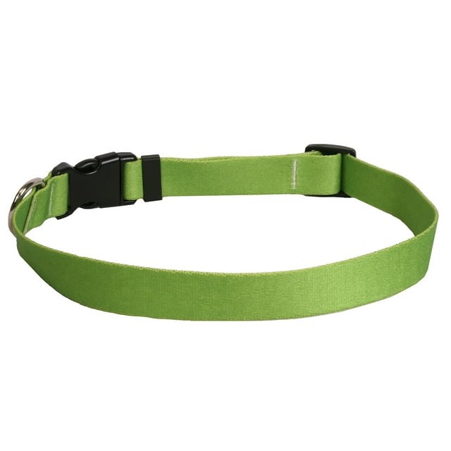 Dog Collar 1in wide Large 18inch-28inch Large Spring Green