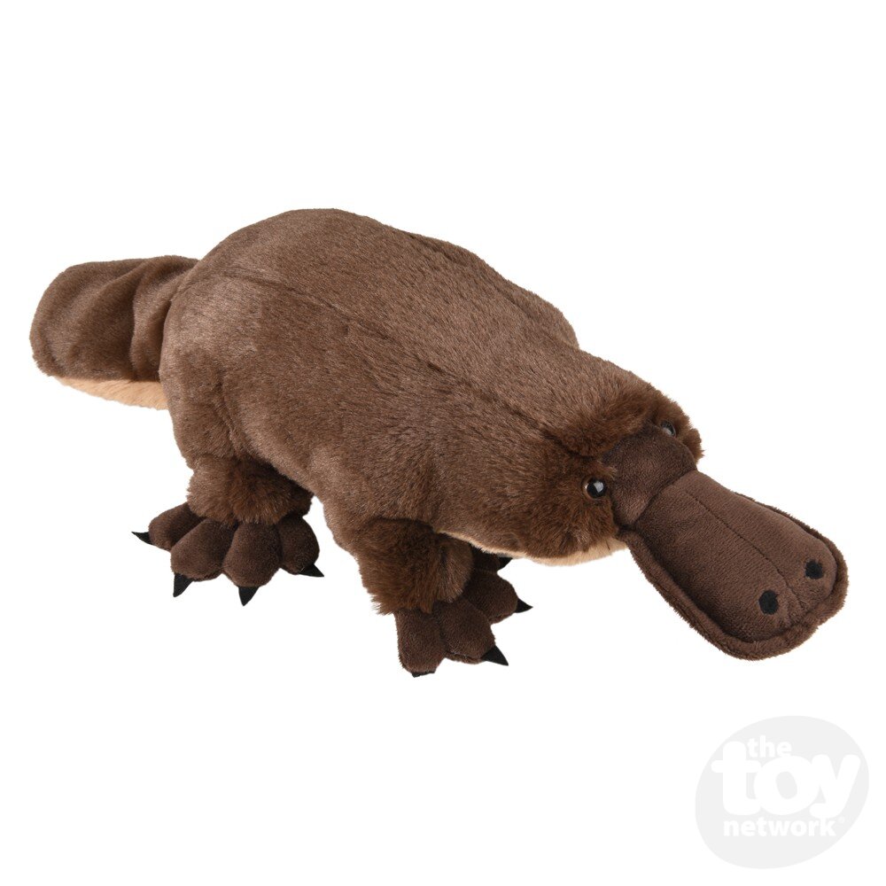Plush Animal Den Platypus 13"