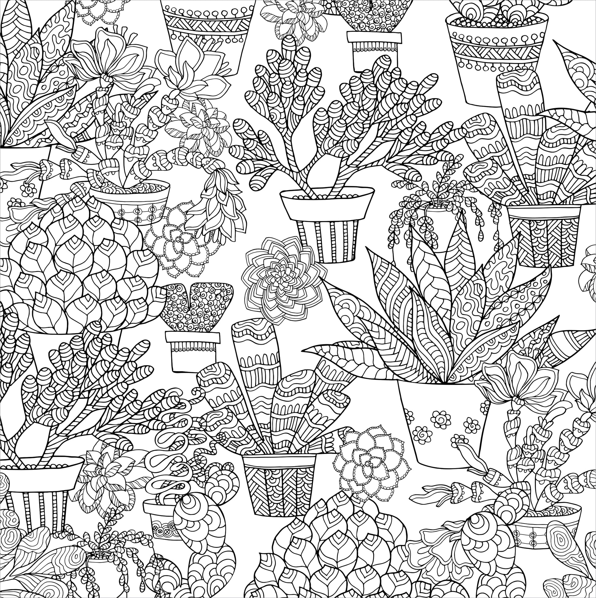 adult coloring pages succulents Artist's Adult Coloring Book Succulents – Homeport