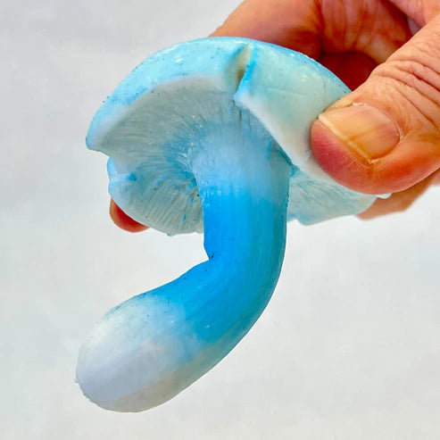 Gashapon Capsule For All Ages Mushrooms (Sold As An Individual Capsule)