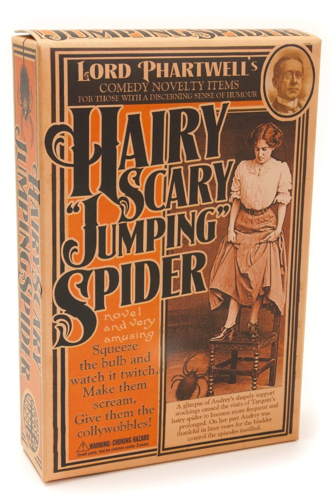 Lord Phartwell Hairy Scary Jumping Spider