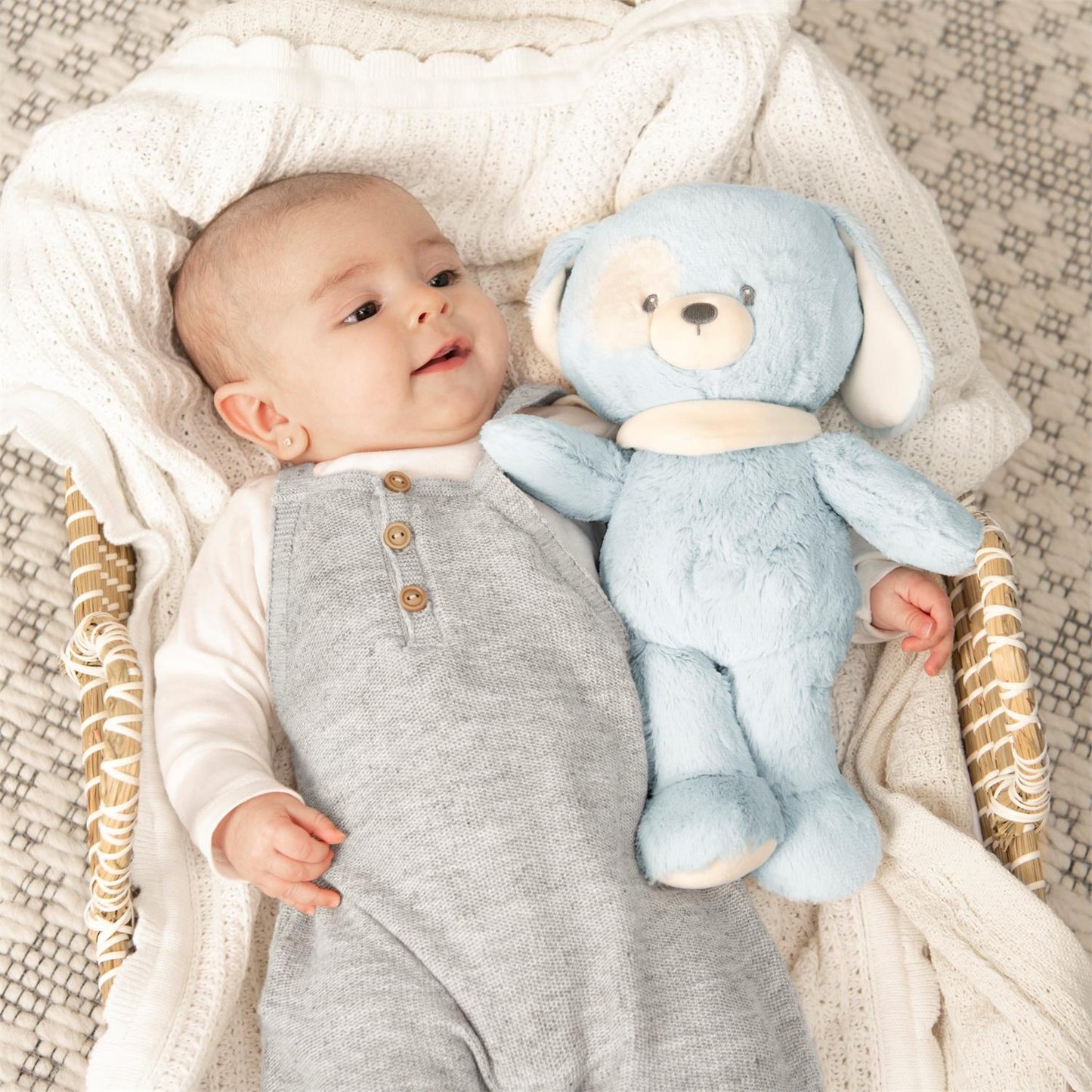 Plush Sustainable Puppy "Bay" Blue 13"
