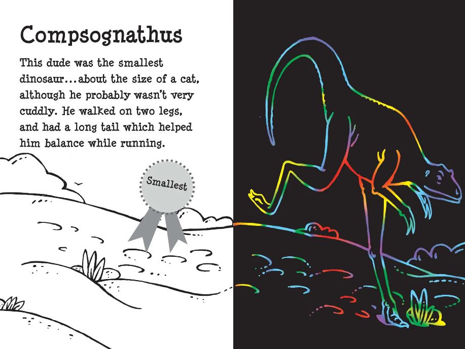 Scratch And Sketch Trace Along Activity Book Dino Dudes