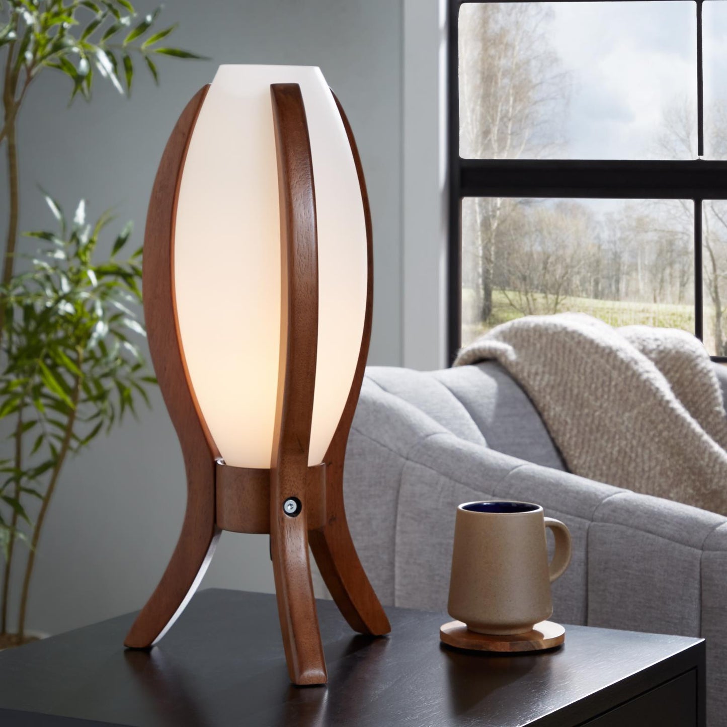 Glass and Wood Egg Desk Lamp