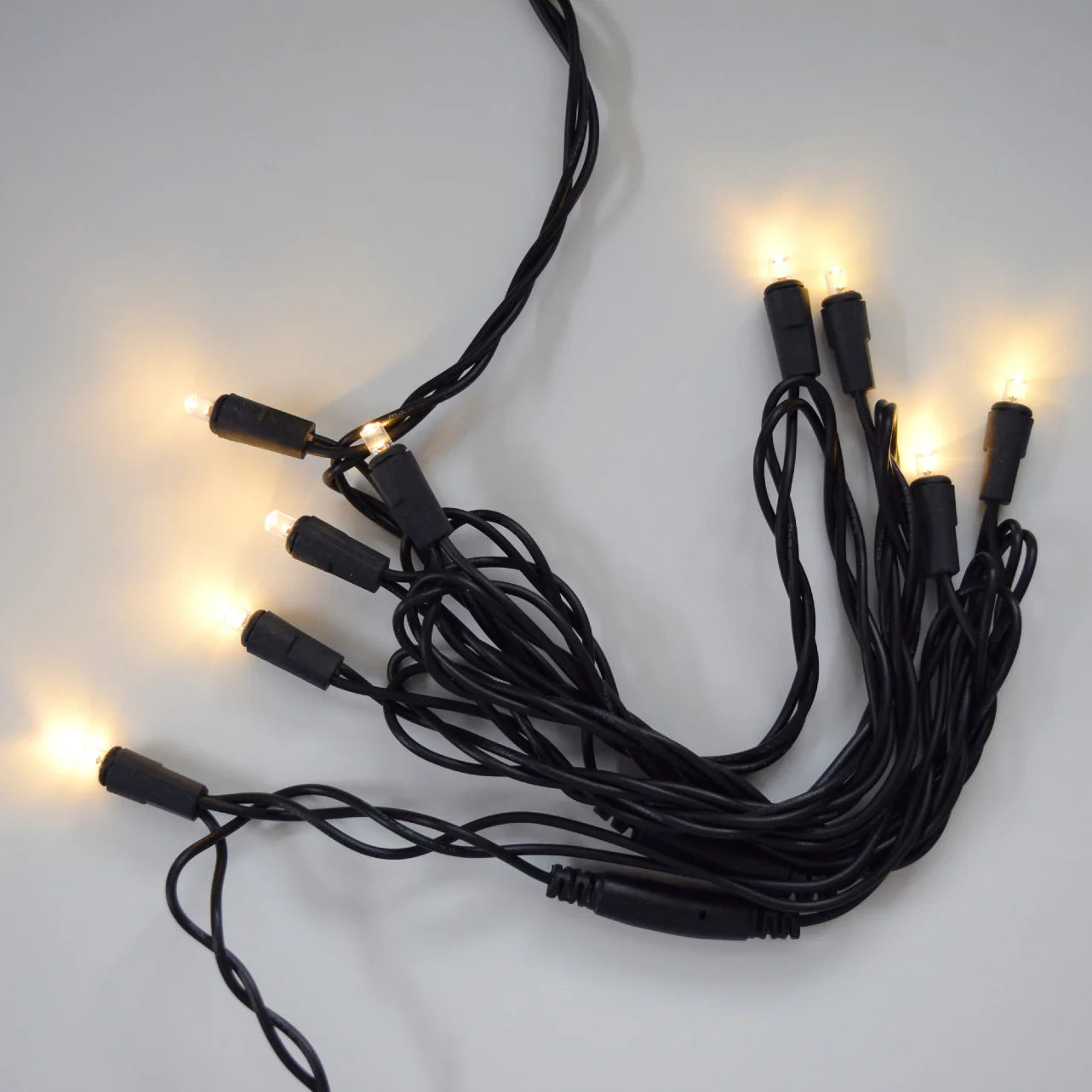 String Lights Cord 10 Mini LED Bulbs Black Wire