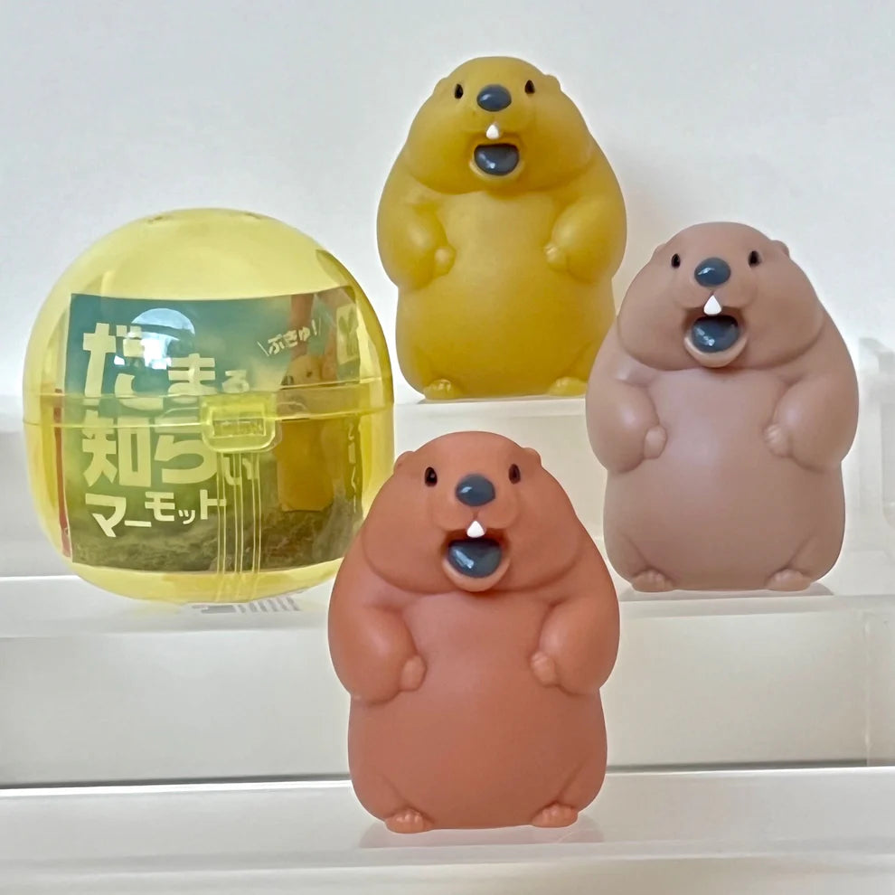 Gashapon Capsule Teen & Up Soft Marmot (Sold As An Individual Capsule)