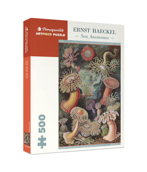 Puzzle 500 Piece - Ernest Haeckel - Sea Anemones