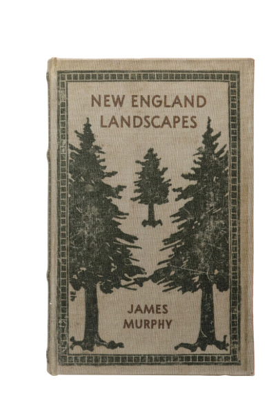 Book Storage Box Large "New England Landscapes"