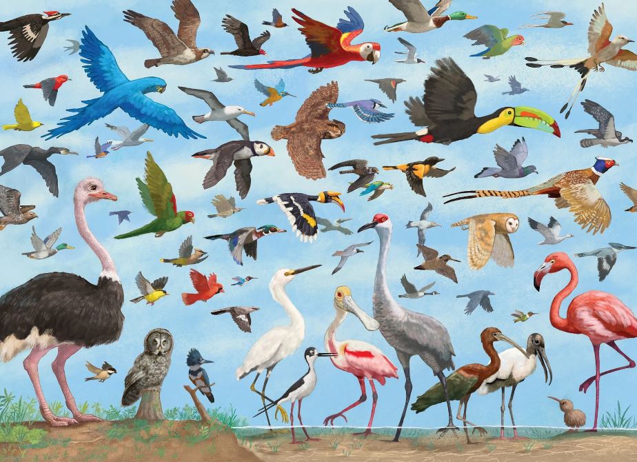 Puzzle 1000 Piece All the Birds