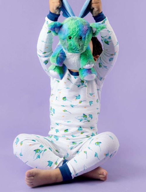 Warmies Dragon Baby Rainbow