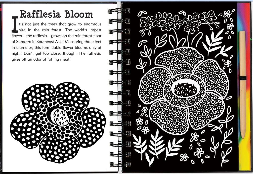 Scratch And Sketch Trace Along Activity Book Rainforest