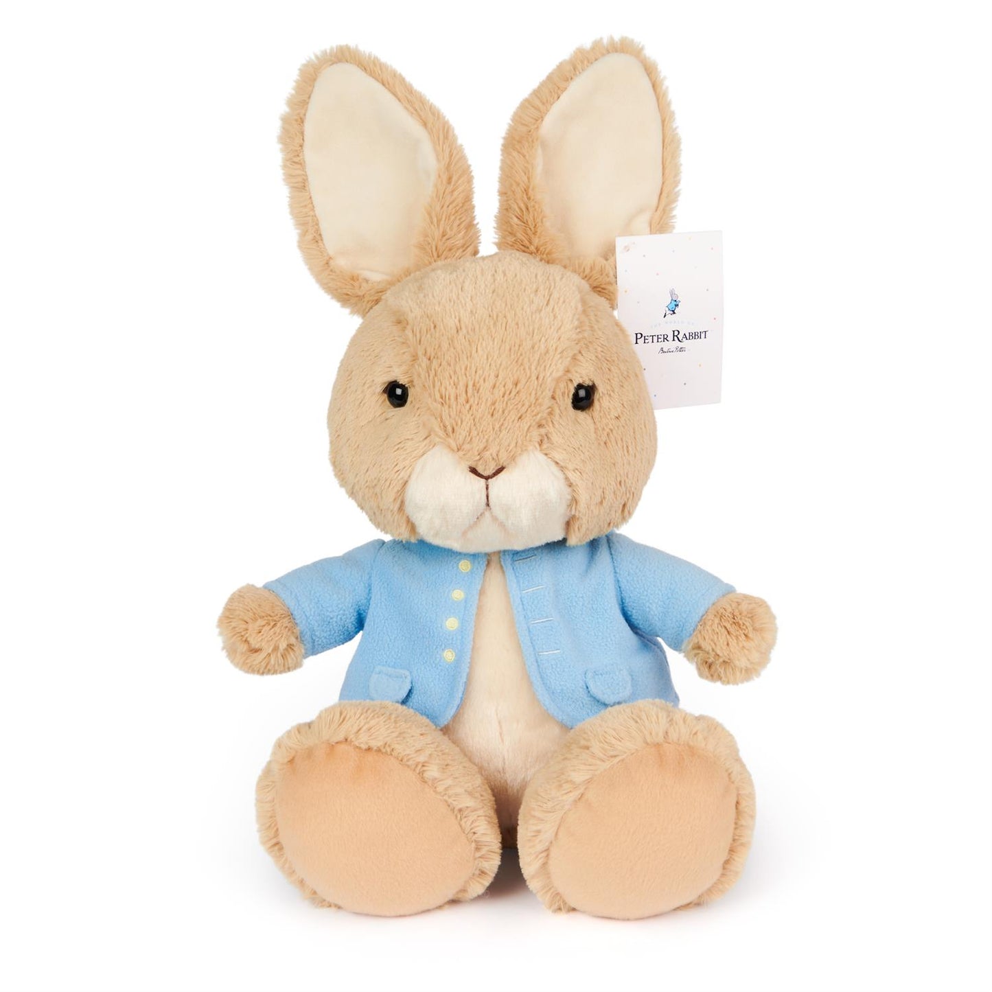 Beatrix Potter Peter Rabbit Silly Pawz 11"