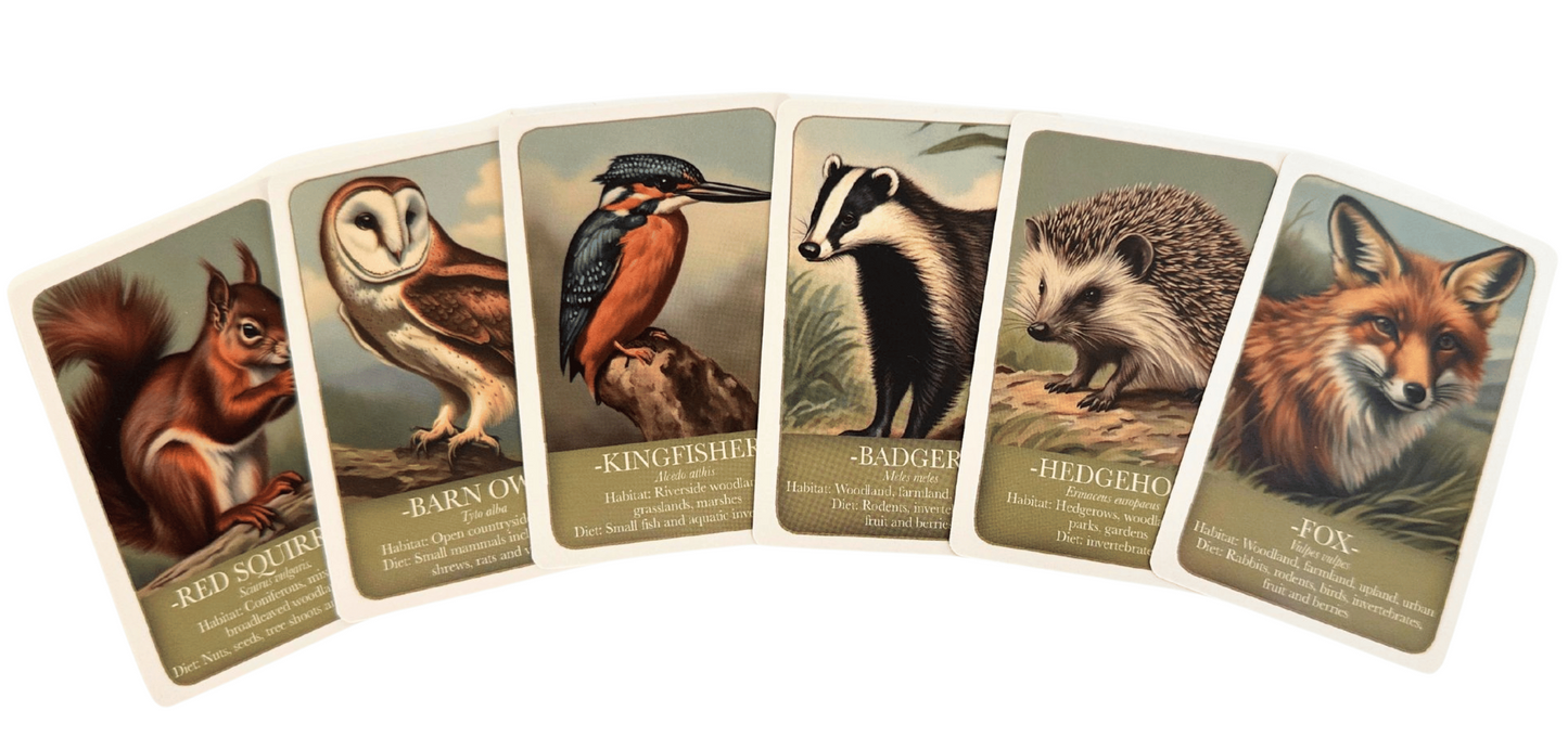 Card Game Wildlife Pairs