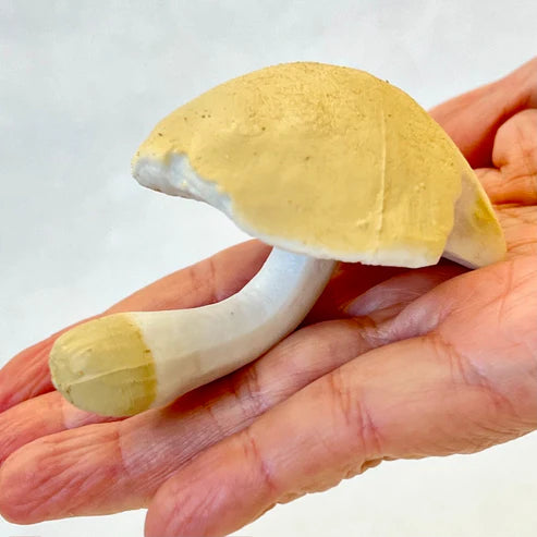 Gashapon Capsule For All Ages Mushrooms (Sold As An Individual Capsule)
