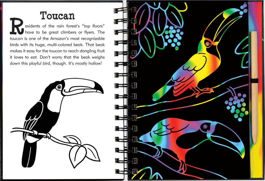 Scratch And Sketch Trace Along Activity Book Rainforest