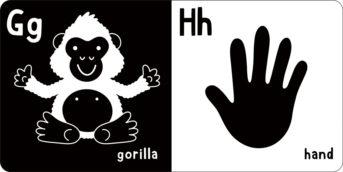 First Board Book High Contrast What Does Baby See? ABC