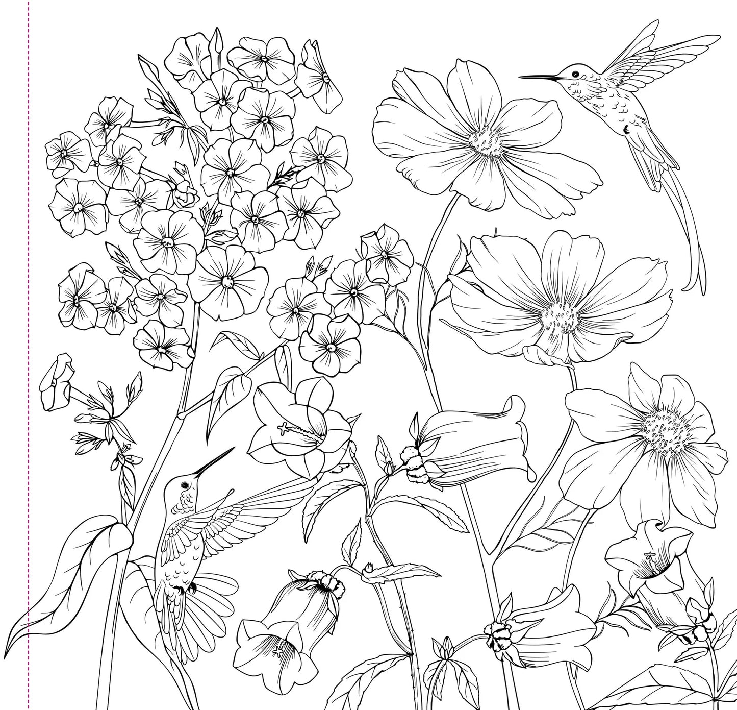 Artist's Adult Coloring Book Wildflowers