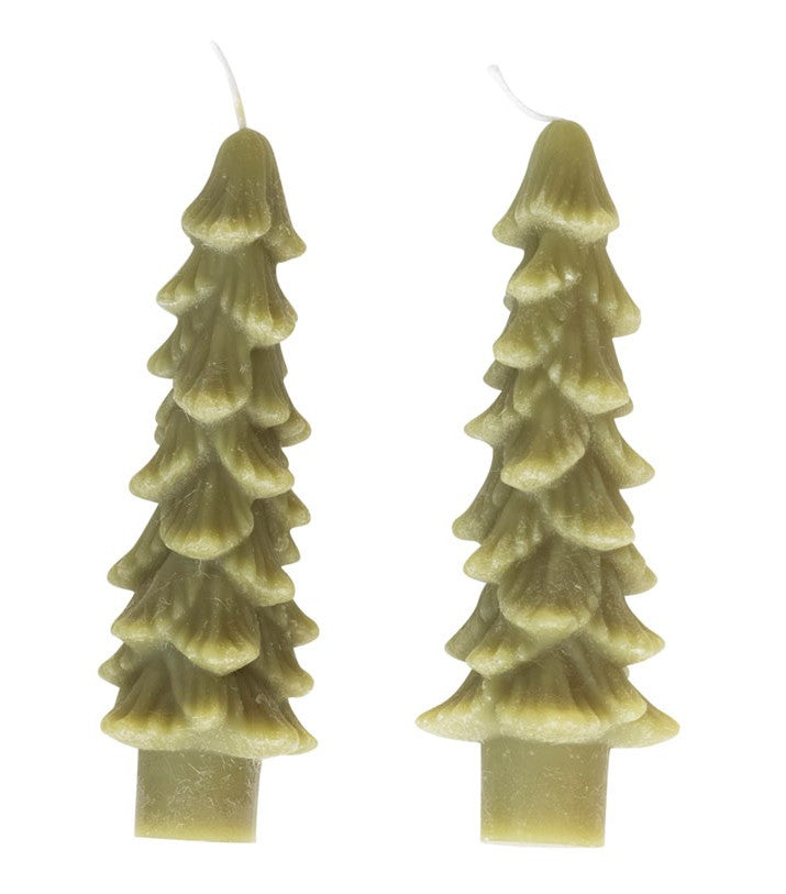 Holiday - Taper Candle Tree Shaped Cedar Green Set of 2 - 5"h