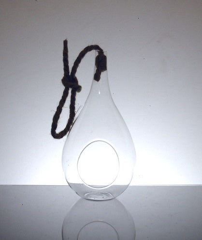 Terrarium Hanging Glass Clear Teardrop 3" Opening 9.5" Tall