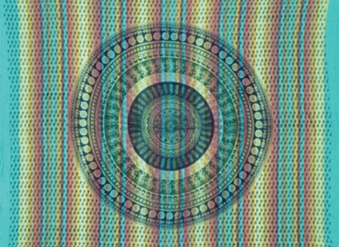 Tapestry Twin Size Overprint Madras Circle Bagru Green