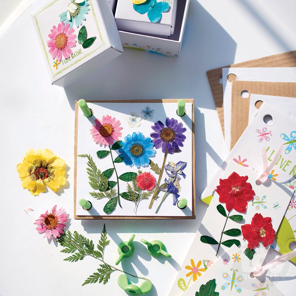 4M Green Creativity Kit Pressed Flower Art