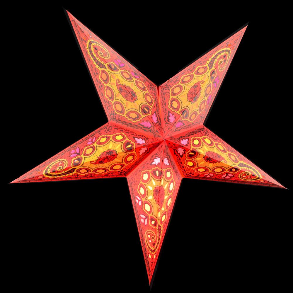 Star Lantern Tulip Red 24"