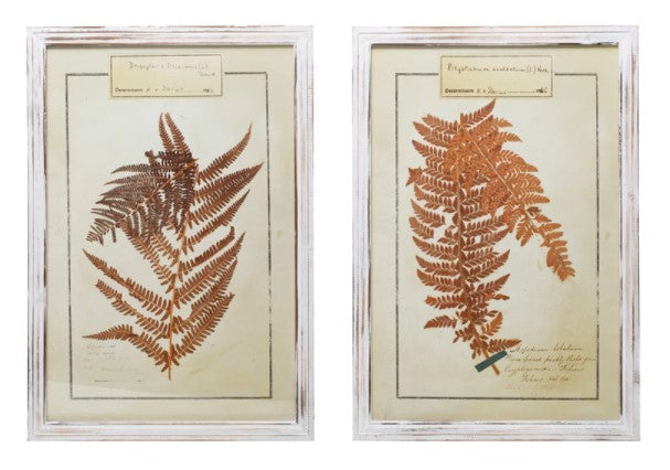 Wood Framed Glass Wall Décor, Fern Image, 2 Styles