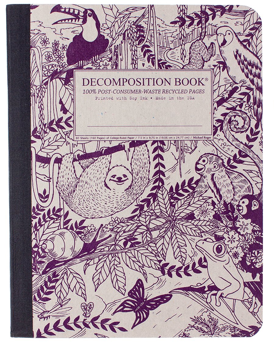 Decomposition Notebook - Rain forest