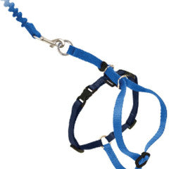 Cat Harness Premier Kitty Come With Me - Medium Blue