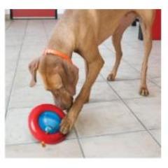 Dog Toy Kong Gyro Brain Teaser Large