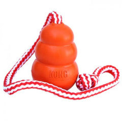 Dog Toy Kong Aqua